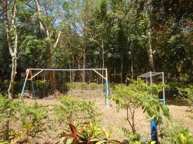 Schaukelgerät im wöldlichen Bereich mit grünen Pflanzen und Bäumen unter einem klaren blauen Himmel.