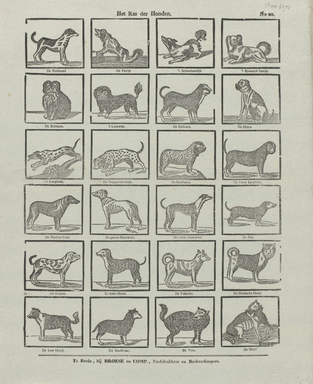 Ein offenes altes Buch mit Abbildungen und Beschreibungen verschiedener Hundewelpen auf seinen Seiten.