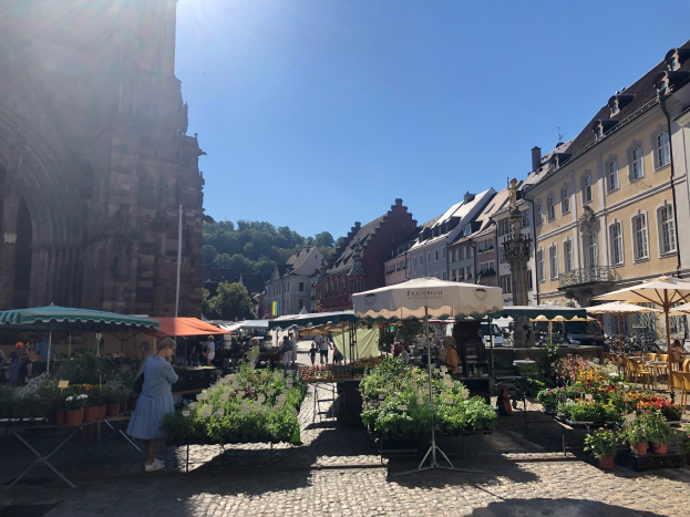 Festival lockt deutlich mehr Besucher an