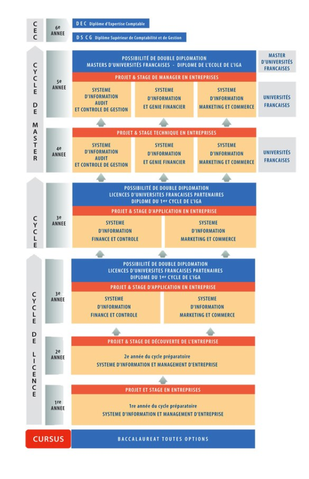 Diagramm, das die organisatorische Struktur eines Unternehmens mit miteinander verbundenen Kästen darstellt, die die Stufen der Unternehmensentwicklung und -wachstum darstellen, begleitet von beschreibendem Text.