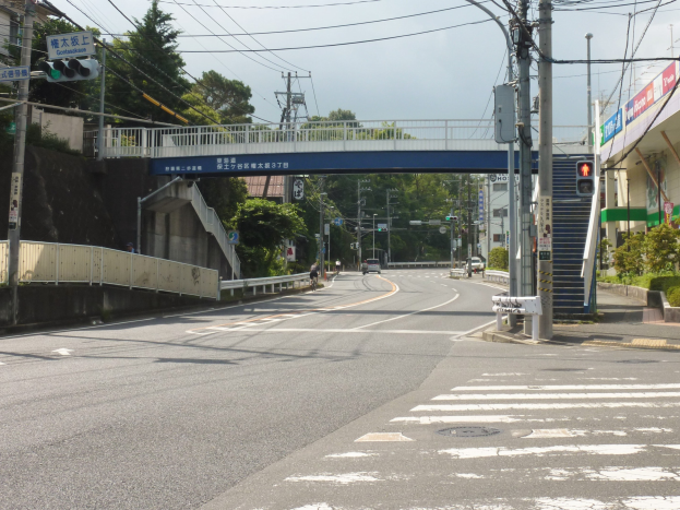 Eine Stadtstraße mit einer Fußgängerbrücke darüber, Fahrzeuge auf der Straße, Strommasten mit Drähten, Verkehrsampeln, Schilder, Gebäude mit Fenstern, Bäume und ein Himmel im Hintergrund.
