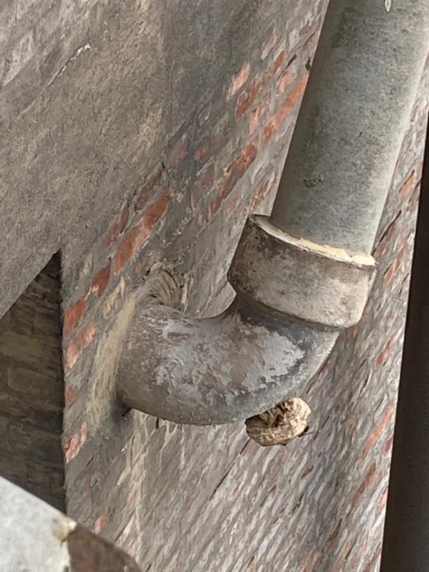 Nahaufnahme eines Metallrohrs bei Reparaturarbeiten an der Seite eines Geb├Ąudes, mit verstreuten Werkzeugen und Materialien in der N├Ąhe.