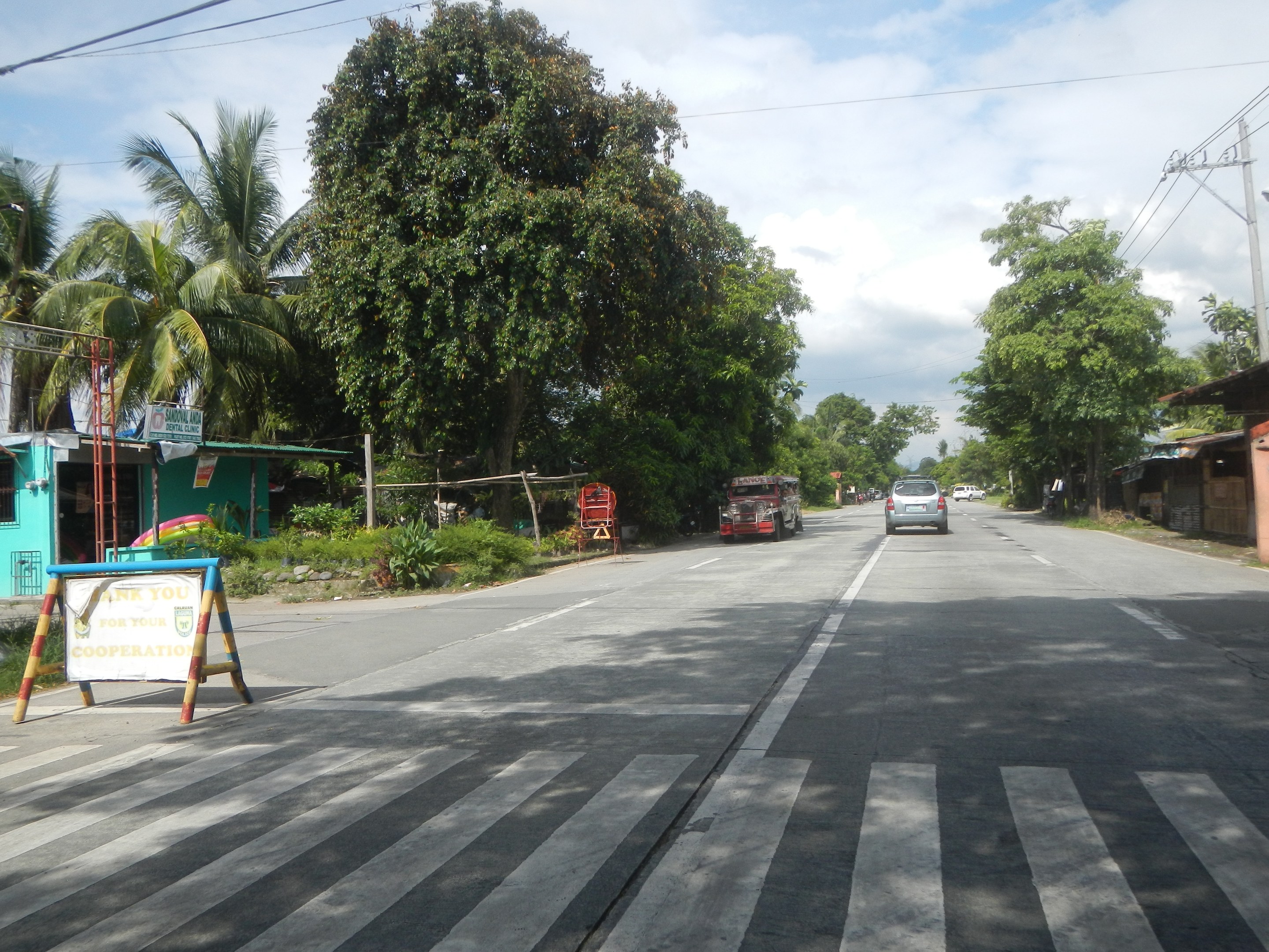 Eine Straßenszene mit Fahrzeugen, einer Zebrastreifen, einem Schild am Boden, Grünfläche, Häusern, Strommasten und einem bewölkten Himmel.