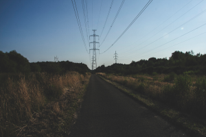 Eine Straße mit Stromleitungen, die von saftigem Grün und Bäumen gesäumt ist, mit hohen Türmen und Drähten im Hintergrund vor einem klaren blauen Himmel.
