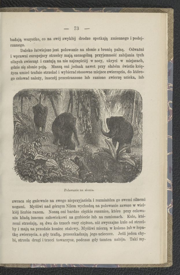 Offene Buchseite mit zwei Elefanten in einer Dschungelumgebung, umgeben von Bäumen und Pflanzen, mit begleitendem Text.