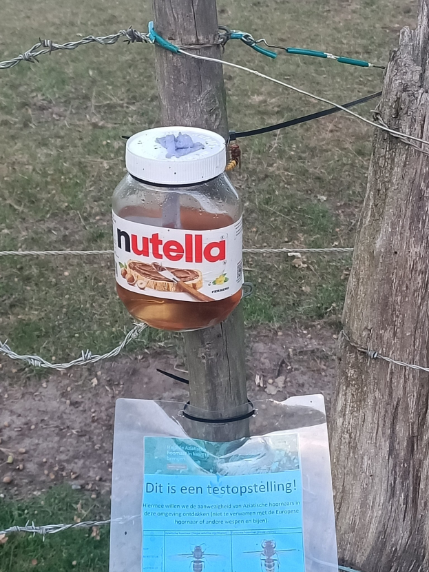 Eine Flasche Nutella auf einem Stacheldrahtzaun mit einem Papier an einem nahen Pfahl und einem Baumstamm rechts, vor einem Hintergrund aus saftigem Grün.
