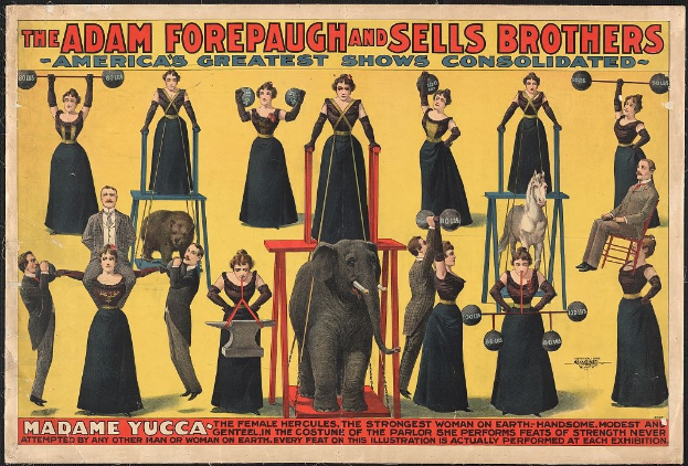 Plakat für die konsolidierte Zirkusshow von Adam Forepaugh und Sells Brothers mit Künstlern auf Hockern, einem Elefanten in der Mitte und Werbetext.
