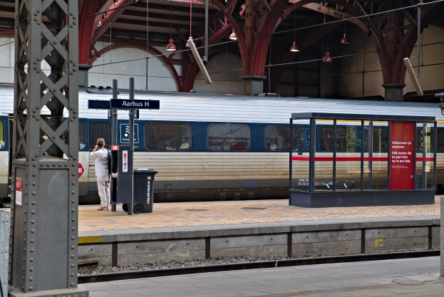 Ein Zug fährt auf einem Bahnsteig ein, neben dem eine Person steht, mit einem Müllcontainer, Pfosten, Informationsplakaten und Deckenleuchten.